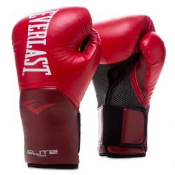Everlast Gloves pro style...
