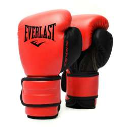 Everlast powerlock 2 gloves...