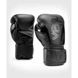 Muay thai gloves Venum elite evo (black/black)