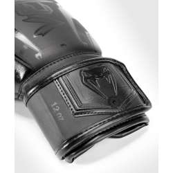 Muay thai gloves Venum elite evo (black/black)3