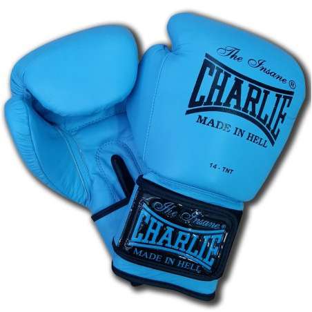 Charlie boxing gloves blue sky