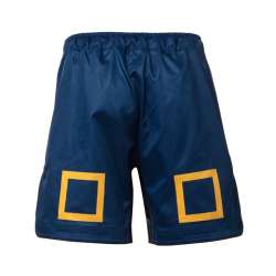 Tatami MMA shorts katakana blue (1)