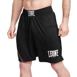 Leone Boxing shorts AB227 flag