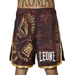 Leone MMA shorts AB790 Legionarius (burgundy) 2