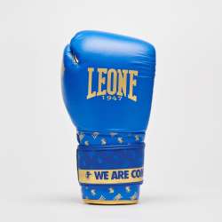 Boxing gloves DNA Leone GN220  4