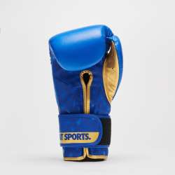 Boxing gloves DNA Leone GN220 5
