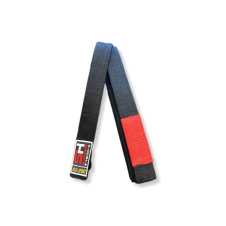 BJJ black belt SH
