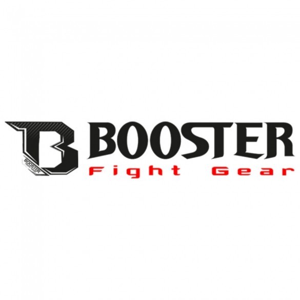 Ibooster Org